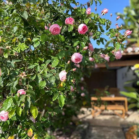 La Paredita Casa Taoro Hébergement de vacances *